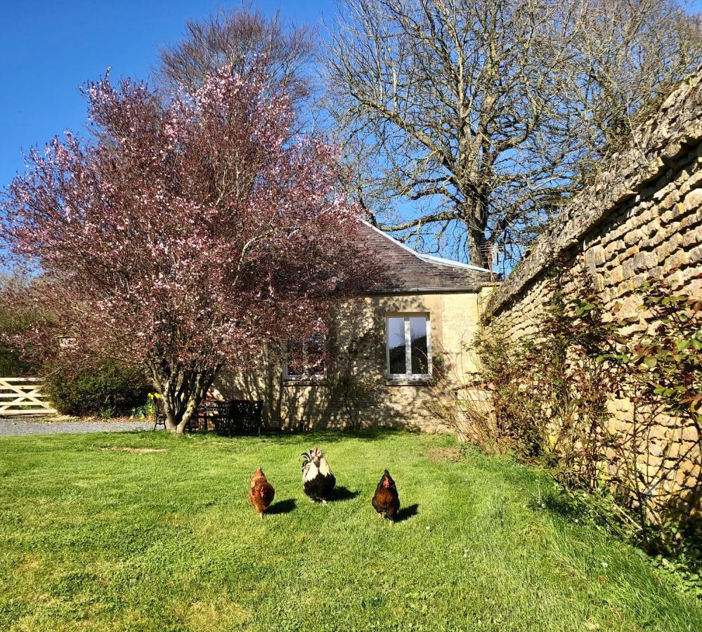 Les Gites De La Mare Saint-Manvieu-Norrey Esterno foto